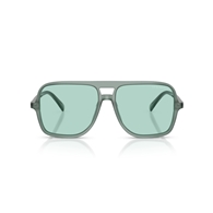 EMPORIO ARMANI EA4252U - 627065