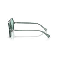 EMPORIO ARMANI EA4252U - 627065