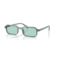 EMPORIO ARMANI EA4253U - 627065