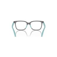 EMPORIO ARMANI EK3006 - 6134