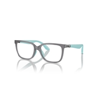 EMPORIO ARMANI EK3006 - 6134