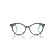 EMPORIO ARMANI EK3007 - 6134