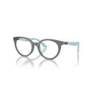 EMPORIO ARMANI EK3007 - 6134