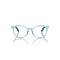 EMPORIO ARMANI EK3007 - 6137