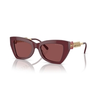 MICHAEL KORS MK2205 - 394975 MONTECITO