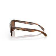 OAKLEY OO9013 - 9013C5 FROGSKINS
