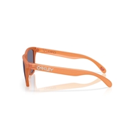 OAKLEY OO9013 - 9013M1 FROGSKINS