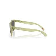 OAKLEY OO9013 - 9013M2 FROGSKINS