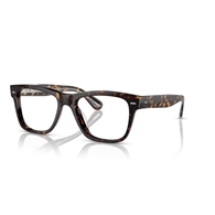 OLIVER PEOPLES OV5393U - 1009 OLIVER