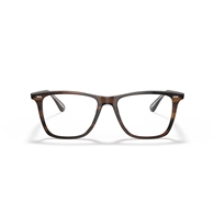 OLIVER PEOPLES OV5437SU - 1724SB OLLIS SUN
