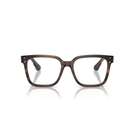 OLIVER PEOPLES OV5502U - 1724 PARCELL
