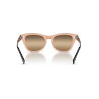 RAY-BAN RB0707SM - 6449G7