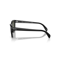 RAY-BAN RB0707S - 901/31