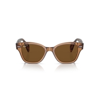 RAY-BAN RB0880S - 664057