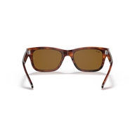 RAY-BAN RB2283 - 954/33 MR BURBANK