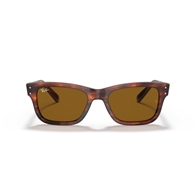 RAY-BAN RB2283 - 954/33 MR BURBANK