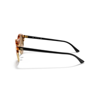 RAY-BAN RB4246 - 1160 CLUBROUND