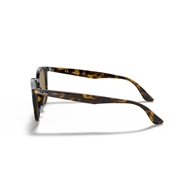 RAY-BAN RB4258 - 710/73