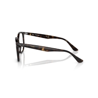 RAY-BAN RB4306 - 710/M1