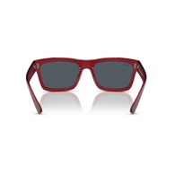 RAY-BAN RB4396 - 667987 WARREN