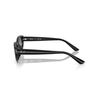 RAY-BAN RB4457D - 667711