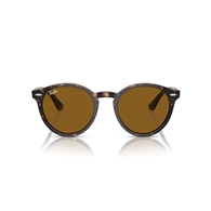 RAY-BAN RB7680S - 902/33 LARRY