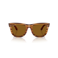 RAY-BAN RBR0502S - 679183 WAYFARER REVERSE