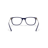 RAY-BAN  RX7244 - 8100