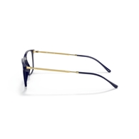RAY-BAN  RX7244 - 8100