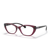 VOGUE VO5425B - 2989