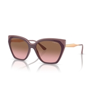 VOGUE VO5521S - 310014