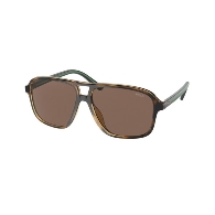 POLO PH4177U - 500373 SHINY HAVANA