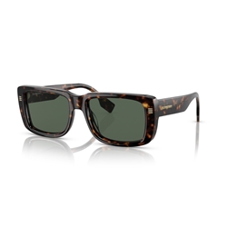 BURBERRY BE4376U - 300271 JARVIS