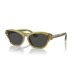 BURBERRY BE4430U - 411887