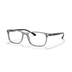 EMPORIO ARMANI EA3098 - 5029