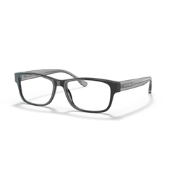 EMPORIO ARMANI EA3179 - 5875