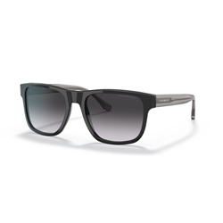 EMPORIO ARMANI EA4163 - 58758G