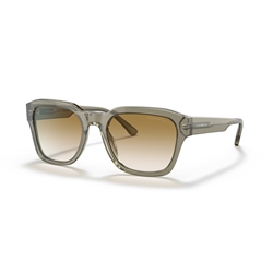 EMPORIO ARMANI EA4175 - 588413