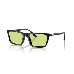 EMPORIO ARMANI EA4239U - 5017/2