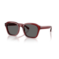 EMPORIO ARMANI EA4245U - 624887