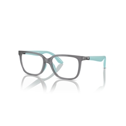 EMPORIO ARMANI EK3006 - 6134