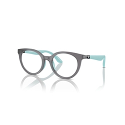 EMPORIO ARMANI EK3007 - 6134