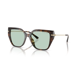 MICHAEL KORS MK2231U - 3006M1 ST. BARTHS