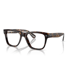 OLIVER PEOPLES OV5393U - 1009 OLIVER