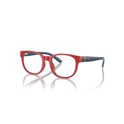 POLO PP8549U - 6091