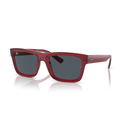 RAY-BAN RB4396 - 667987 WARREN