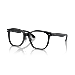 RAY-BAN  RX5425D - 2000