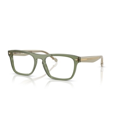 VOGUE VO5619 - 3187