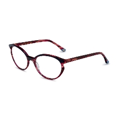 ETNIA BARCELONA ANTIBES - FUBL        