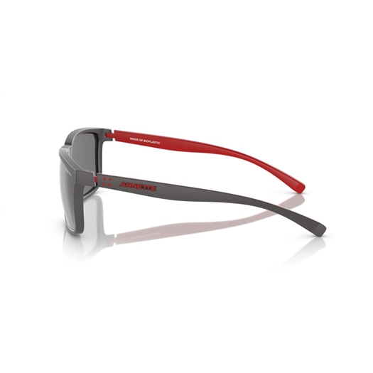 ARNETTE AN4251 - 25736G STRIPE
